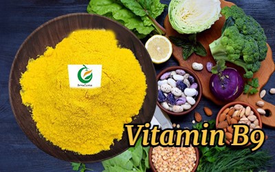 Vitamin B9 1 Vitamin B9 1