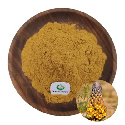 مستخلص cistanche