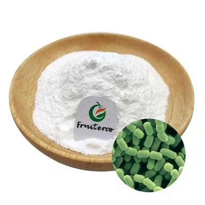 Lactobacillus تخمير بروبيوتيك